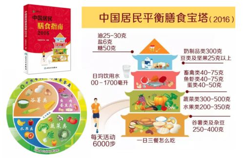 原來如此 揭開食品添加劑的神秘面紗與營養配餐的和諧之道